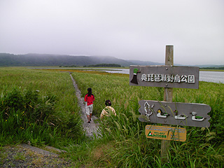 奥琵琶瀬野鳥公園